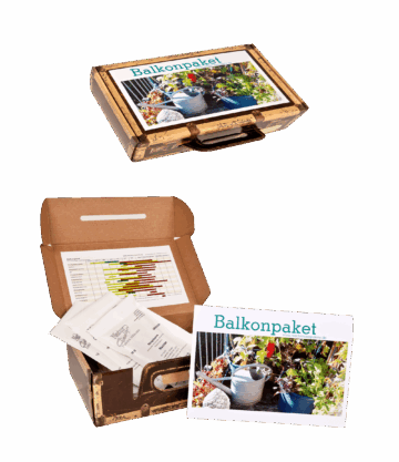 Balcony Package
