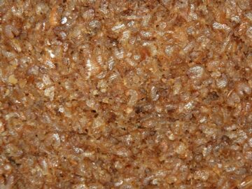 Dosenbrot