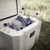 Petromax Cool Box 25 Litre alpine white