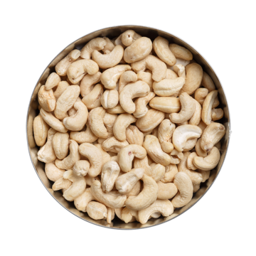 48-cashew-draufsicht_800x800px Cashewnüsse