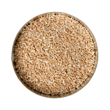 UrDinkel-Kernotto, vorgegart