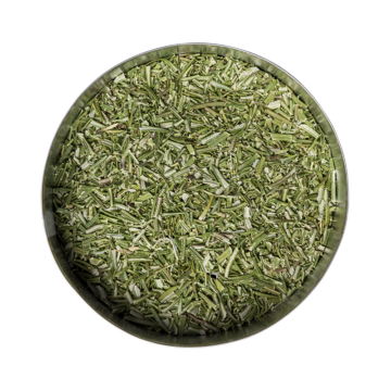 rosmarin_800x800px Rosemary