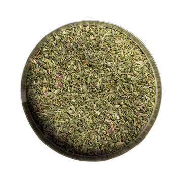 thymian_800x800px Thyme