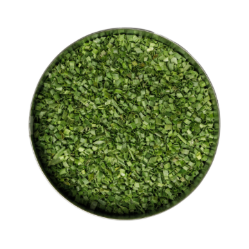 schnittlauch-draufsicht Kopie Chives