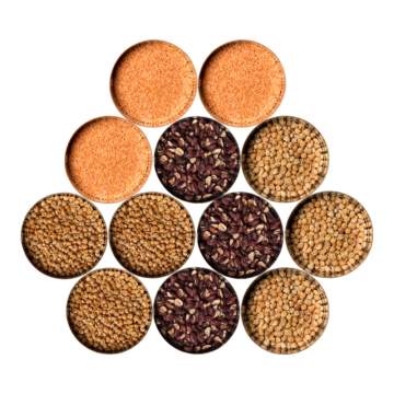 proteinpaket-neu-mit-gelben-erbsen-1000x1000 Protein-Paket vegan