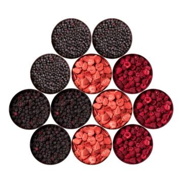 beerenpaket_Draufsicht_heidelbeeren,erdbeeren,brombeeren,himbeeren Berries Package