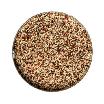 bulgur-tricolore-draufsicht Quinoa tricolore