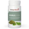 morus_vida_online_kapseln_Kaufen_Schweiz_v-1-2040x2040 Morus Vida