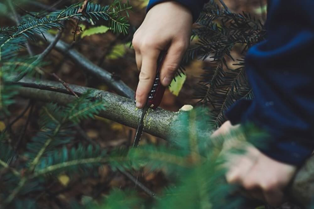 Survival Training – Überleben leicht gemacht