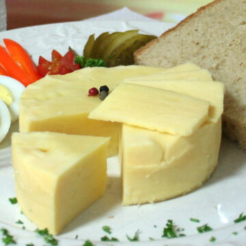 dosen-bistro-gouda-250g DosenBistro™ Gouda (250g)