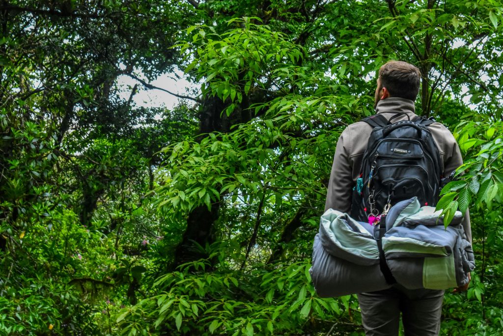 Go Hiking
