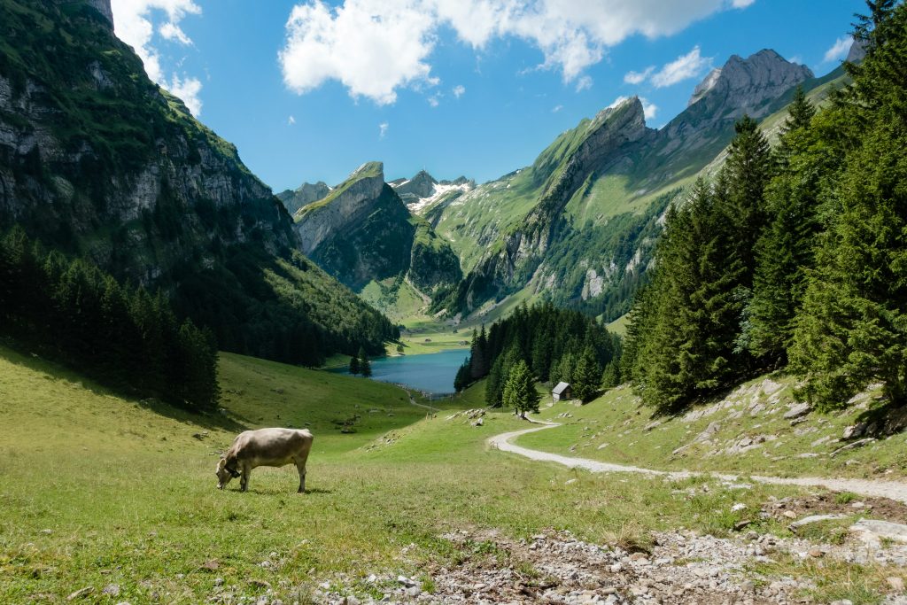 Klettersteige Schweiz 