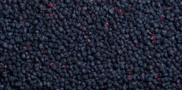 Bio-Heidelbeeren (wild)