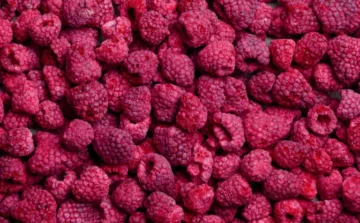 leckker-ps-00-fenster-Himbeeren-768x476 Bio-Himbeeren